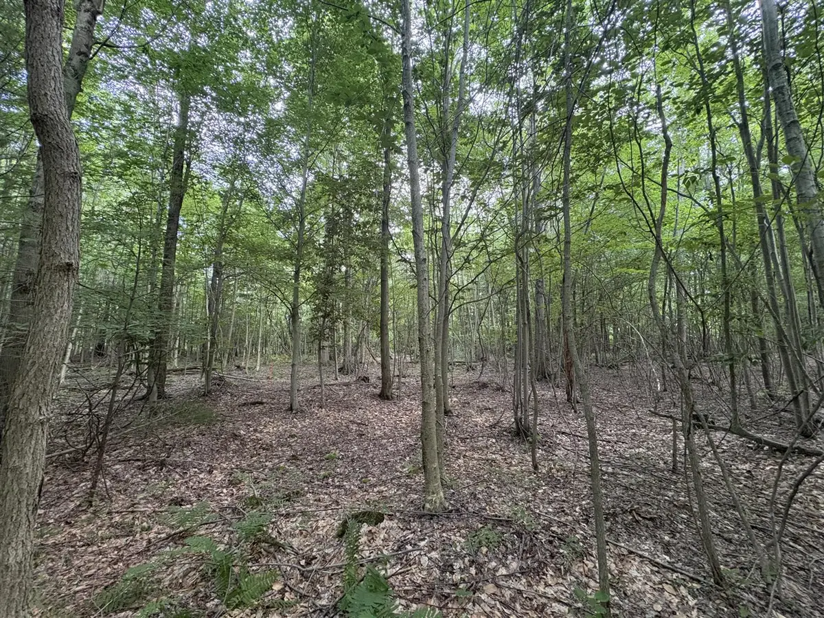 109th, Pullman, MI 49450 - #1