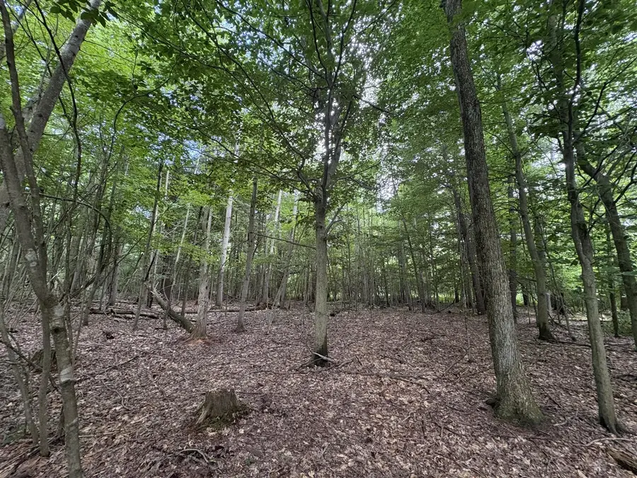 109th, Pullman, MI 49450 - #2