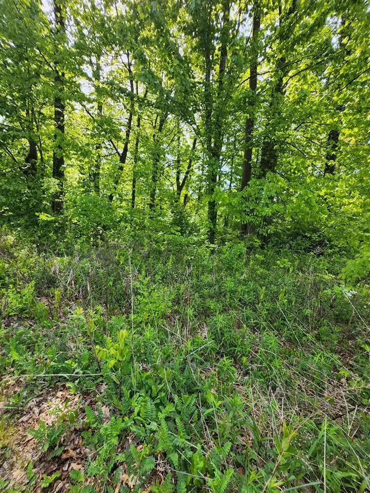 17651 Penny, New Buffalo, MI 49117 - #2