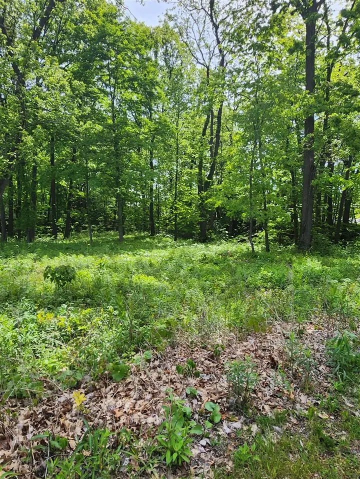 17651 Penny, New Buffalo, MI 49117 - #3