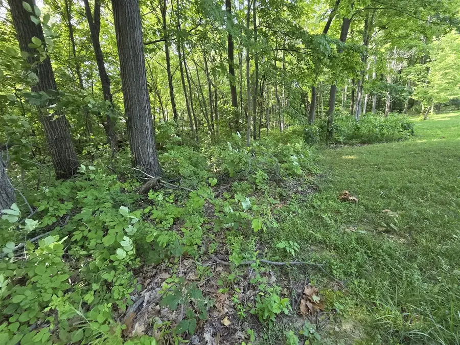 17641 Summerhill, New Buffalo, MI 49117 - #3