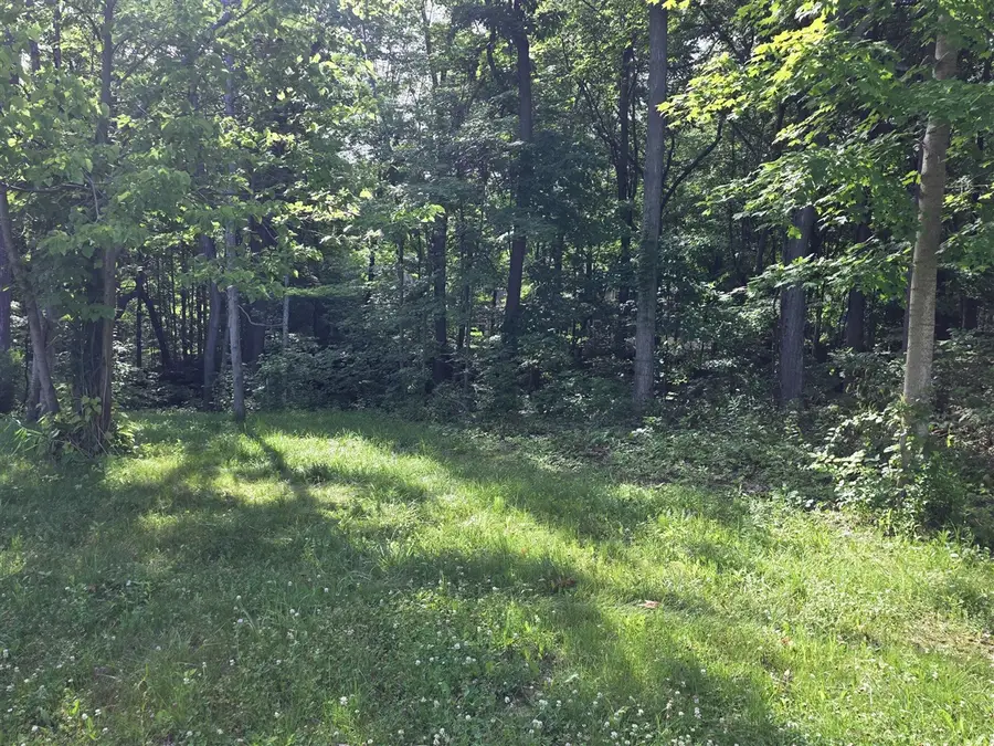 17643 Summerhill, New Buffalo, MI 49117 - #2