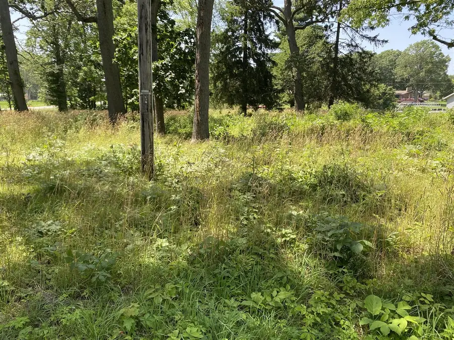 69050 Island, Edwardsburg, MI 49112 - #2