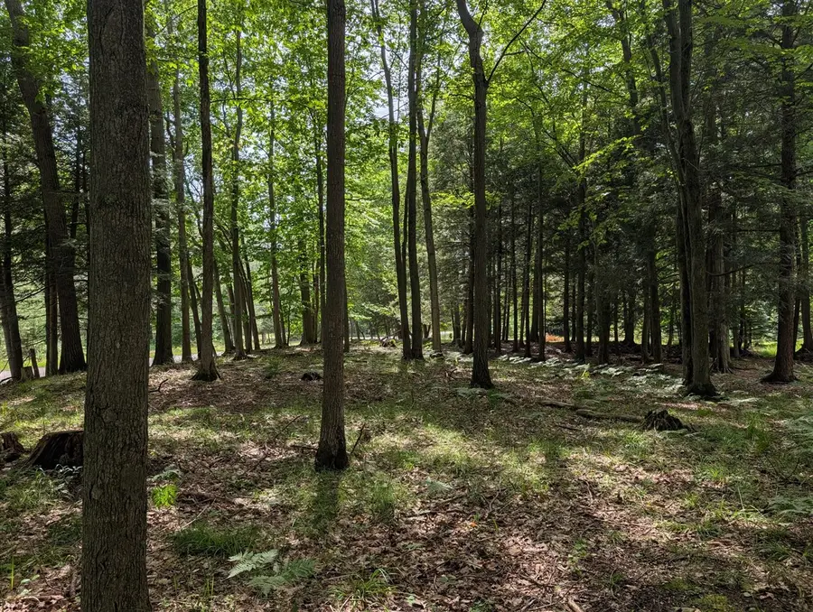 N. Glen Wood Dr., Ludington, MI 49431 - #3
