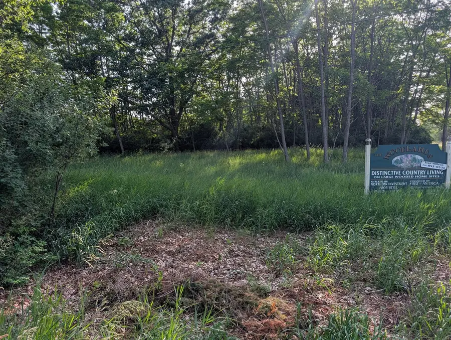 Merkey Rd, Manistee, MI 49660 - #3