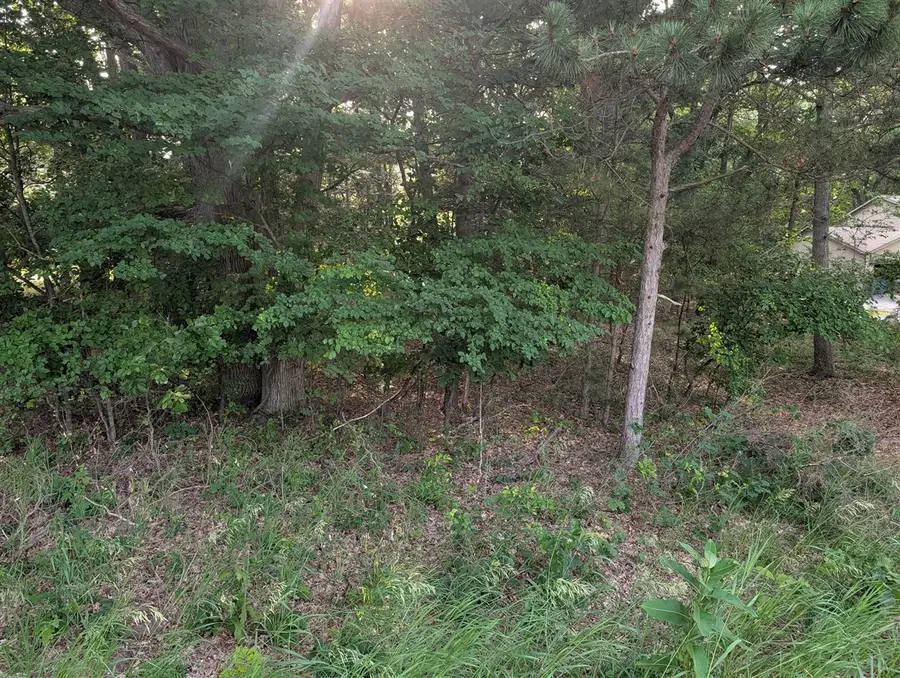 Ramona, Manistee, MI 49660 - #2