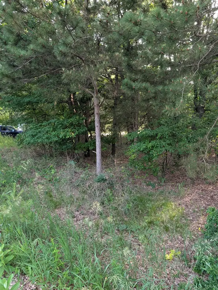 Ramona, Manistee, MI 49660 - #3