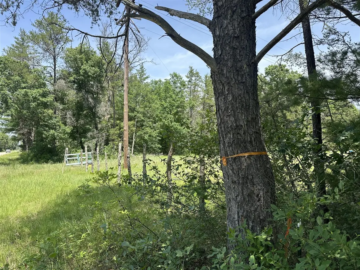 00 S Broadway, Idlewild, MI 49642 - #1