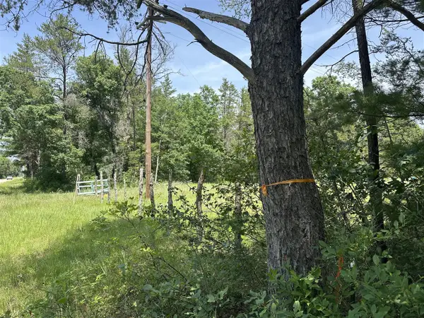 00 S Broadway, Idlewild, MI 49642