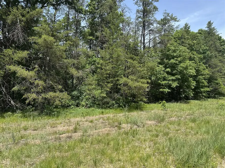 00 S Broadway, Idlewild, MI 49642 - #3
