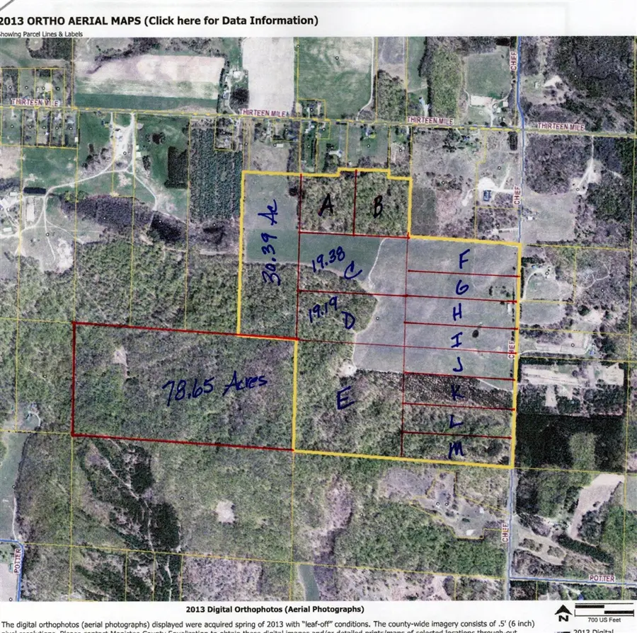 L Chief, Bear Lake, MI 49614 - #2