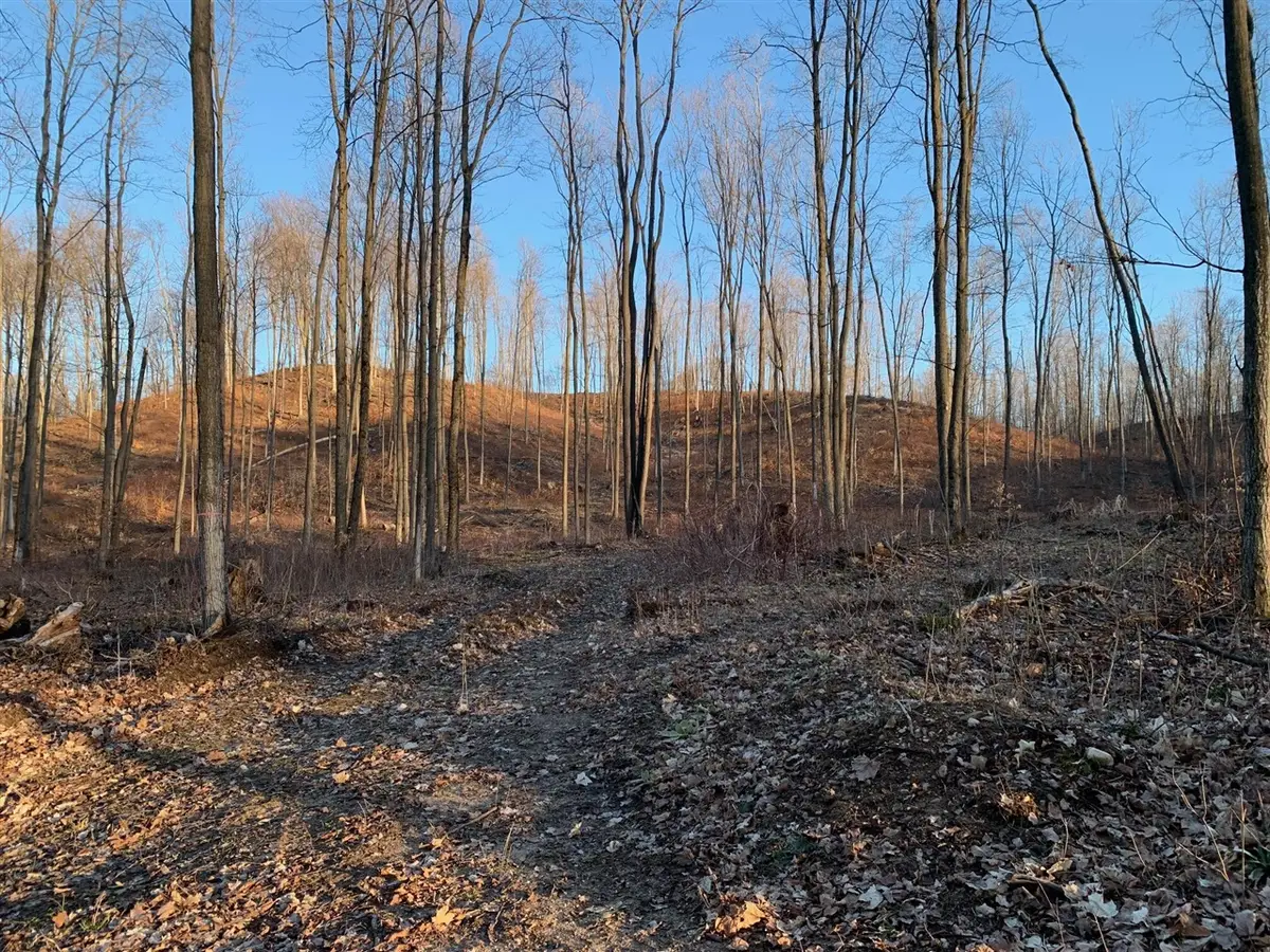 0 Off Of Chief, Bear Lake, MI 49614 - #1