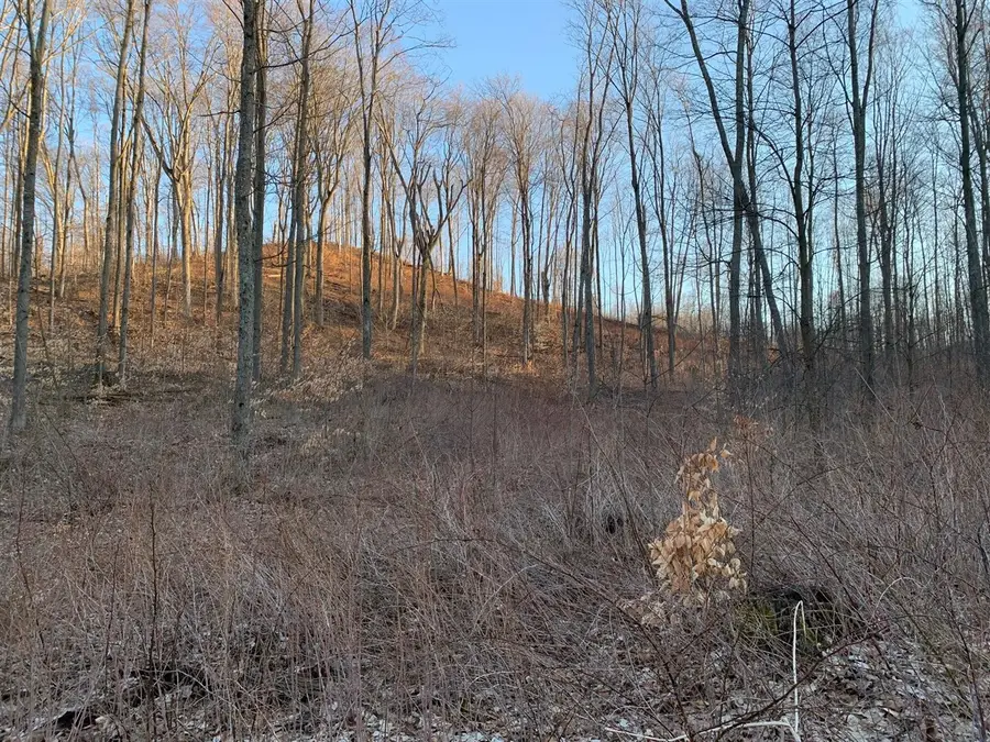 0 Off Of Chief, Bear Lake, MI 49614 - #2