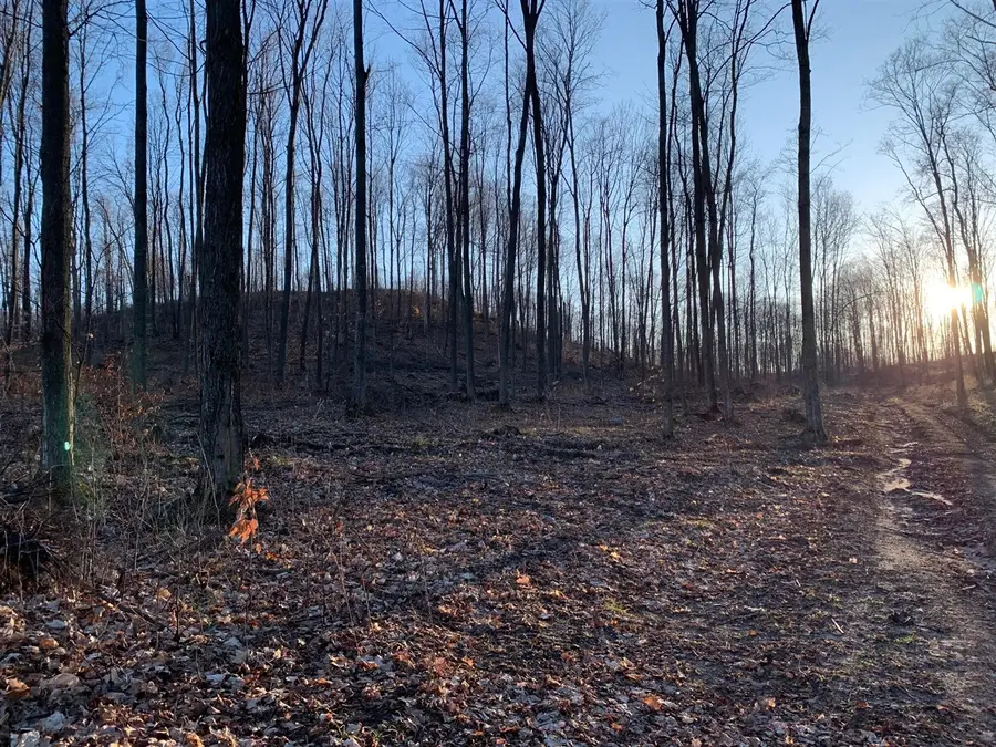 0 Off Of Chief, Bear Lake, MI 49614 - #3