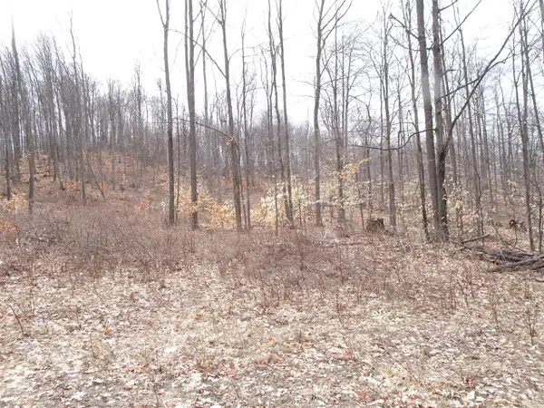 L Chief, Bear Lake, MI 49614