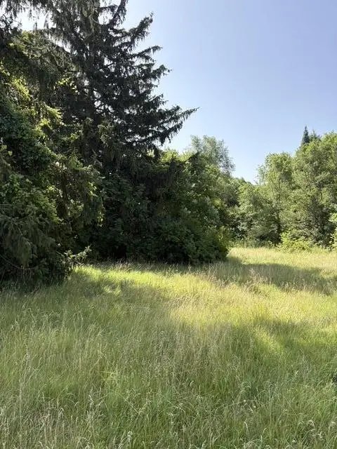 1786 E Napier, Benton Harbor, MI 49022