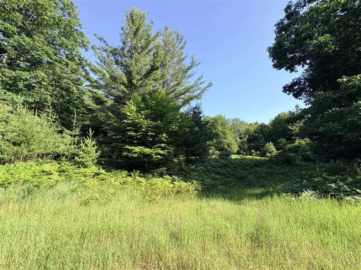 Wildwood, Manistee, MI 49660 - #1