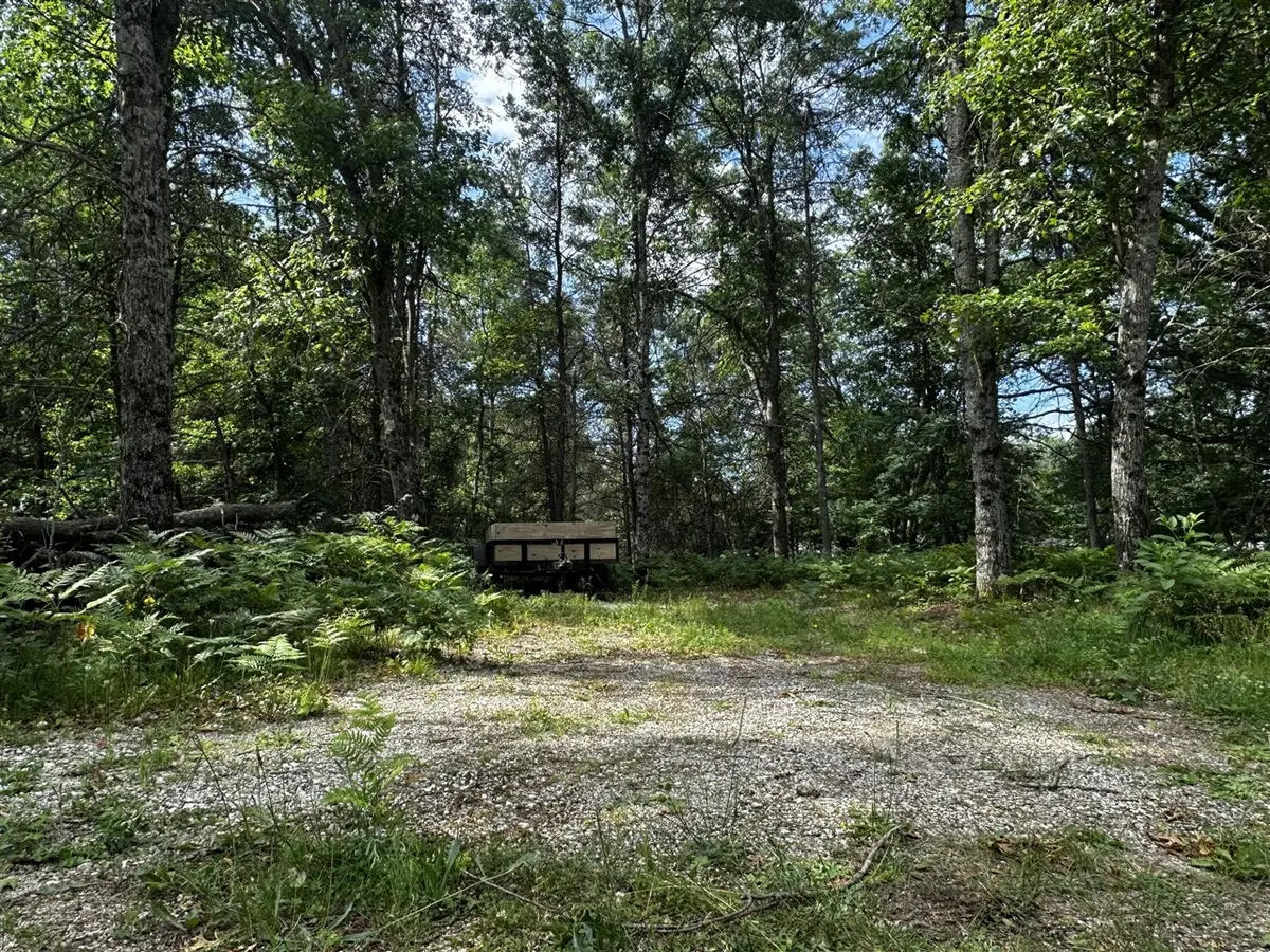 VL W Airpark, Luther, MI 49656 - #1