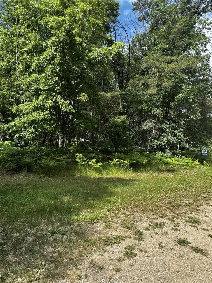 VL W Airpark, Luther, MI 49656 - #3