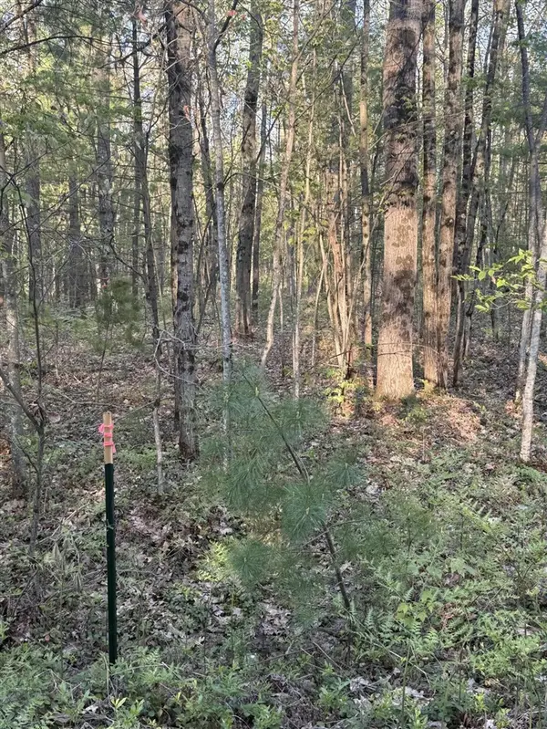 N Woodland, Bitely, MI 49309