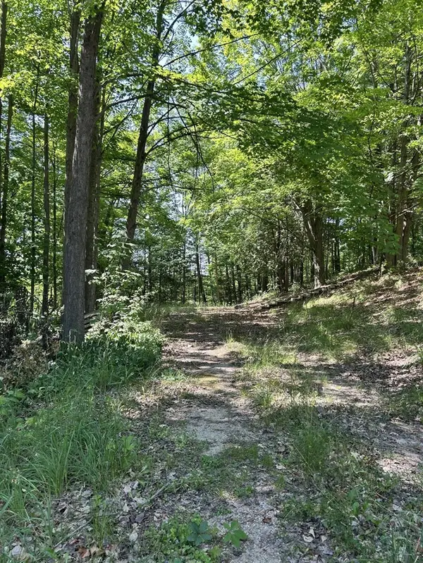 313 W Spruce, Big Rapids, MI 49307