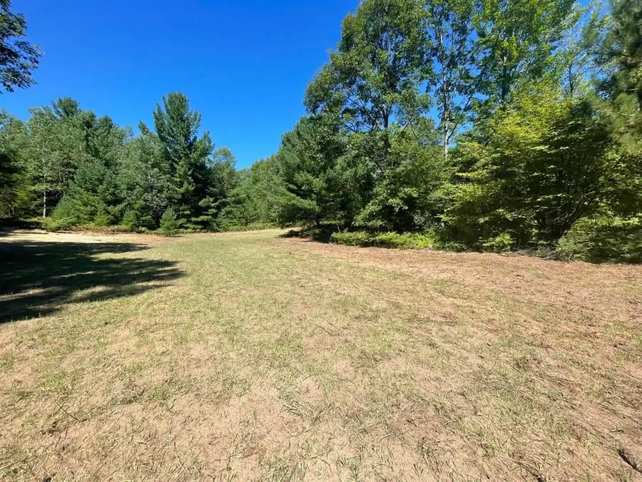 V/L E 8 Mile, Luther, MI 49656 - #2