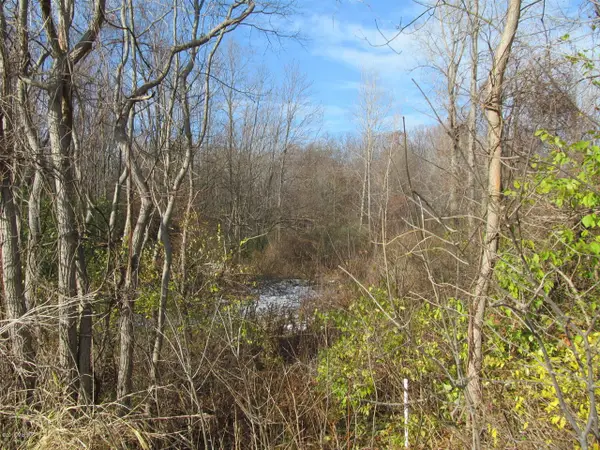 0 W Marquette Woods, Stevensville, MI 49127
