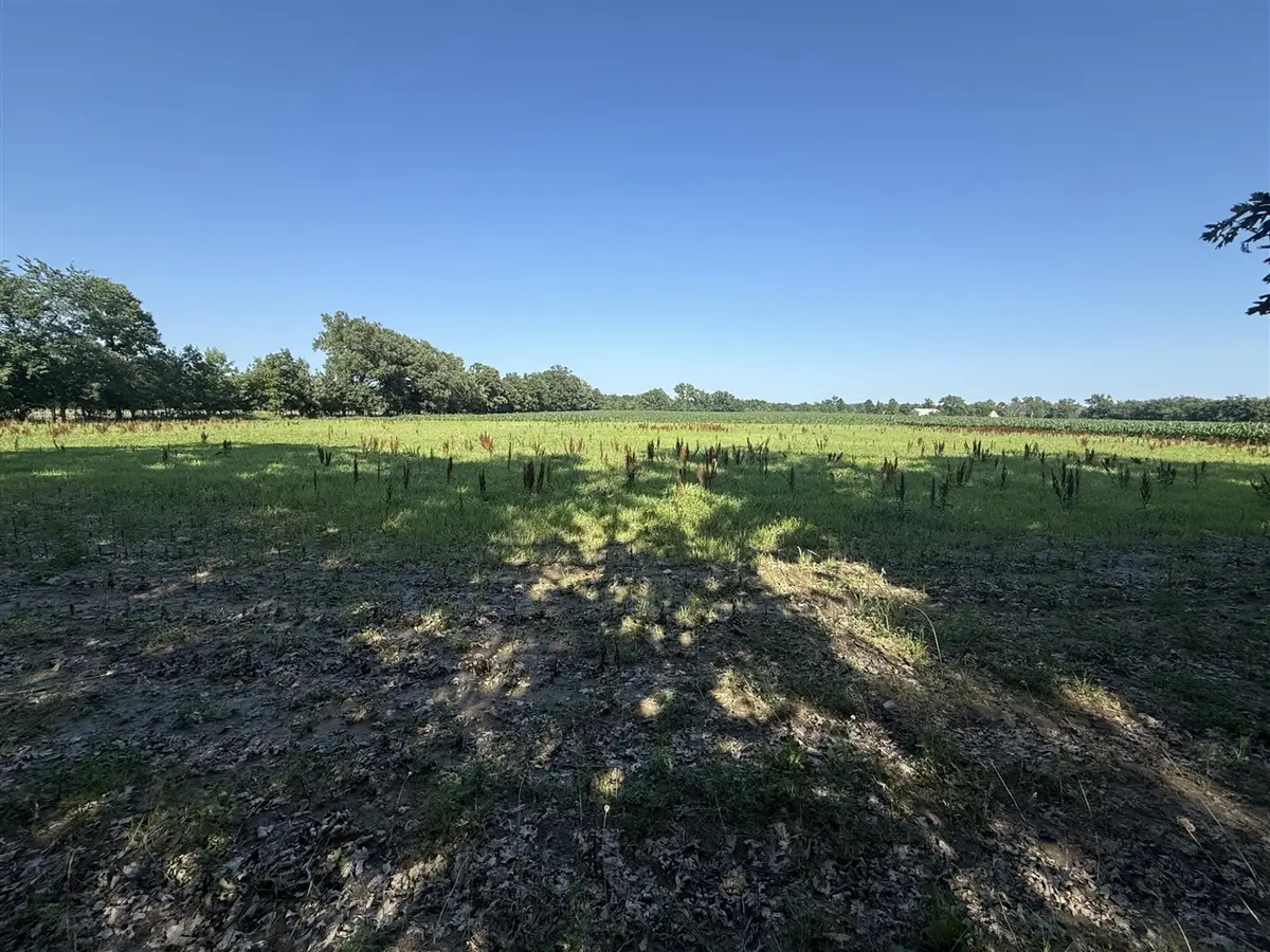 1245 19th, Otsego, MI 49078 - #1