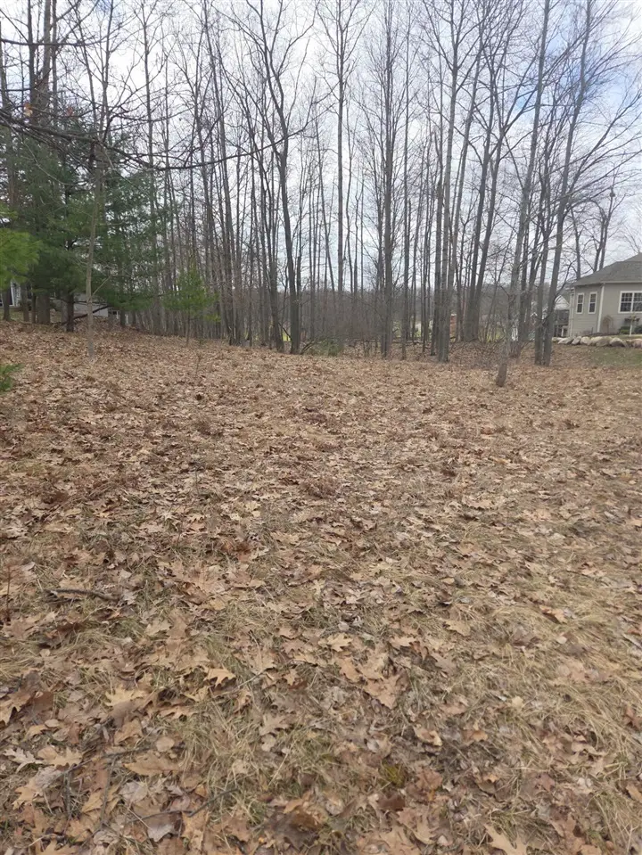 9361 St. Ives, Canadian Lakes, MI 49346 - #2