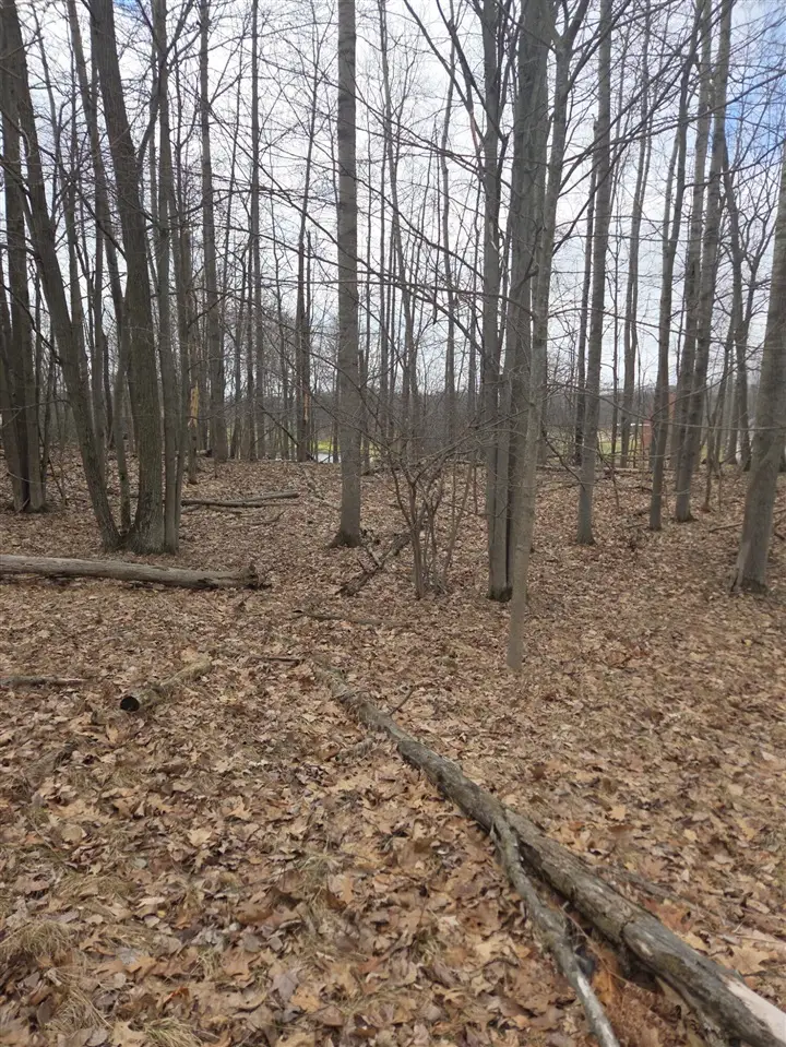 9361 St. Ives, Canadian Lakes, MI 49346 - #3