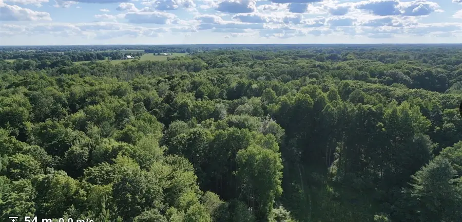 V/L Woods, Sidney, MI 48885 - #3