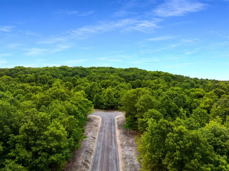 Sadie Ln, Bear Lake, MI 49614 - #3