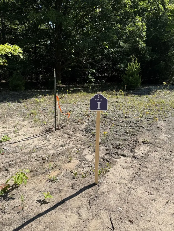 Sadie Ln, Bear Lake, MI 49614 - #3