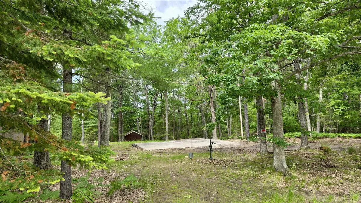 183 Eagles Nest, Indian River, MI 49749 - #1