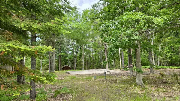 183 Eagles Nest, Indian River, MI 49749