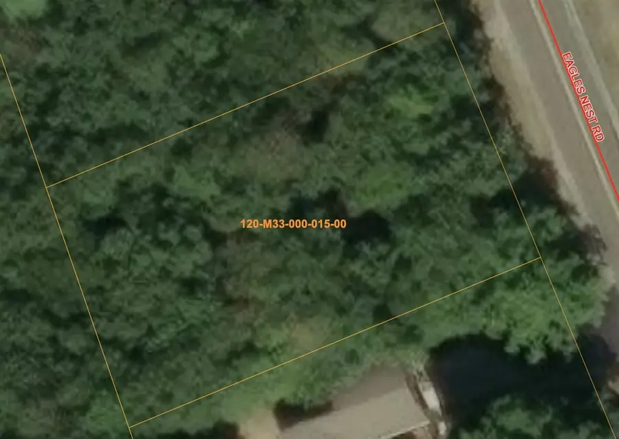 183 Eagles Nest, Indian River, MI 49749 - #2