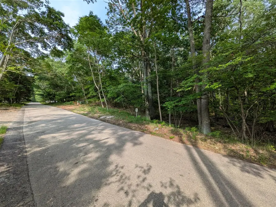 N Silver Ridge, Mears, MI 49436 - #2