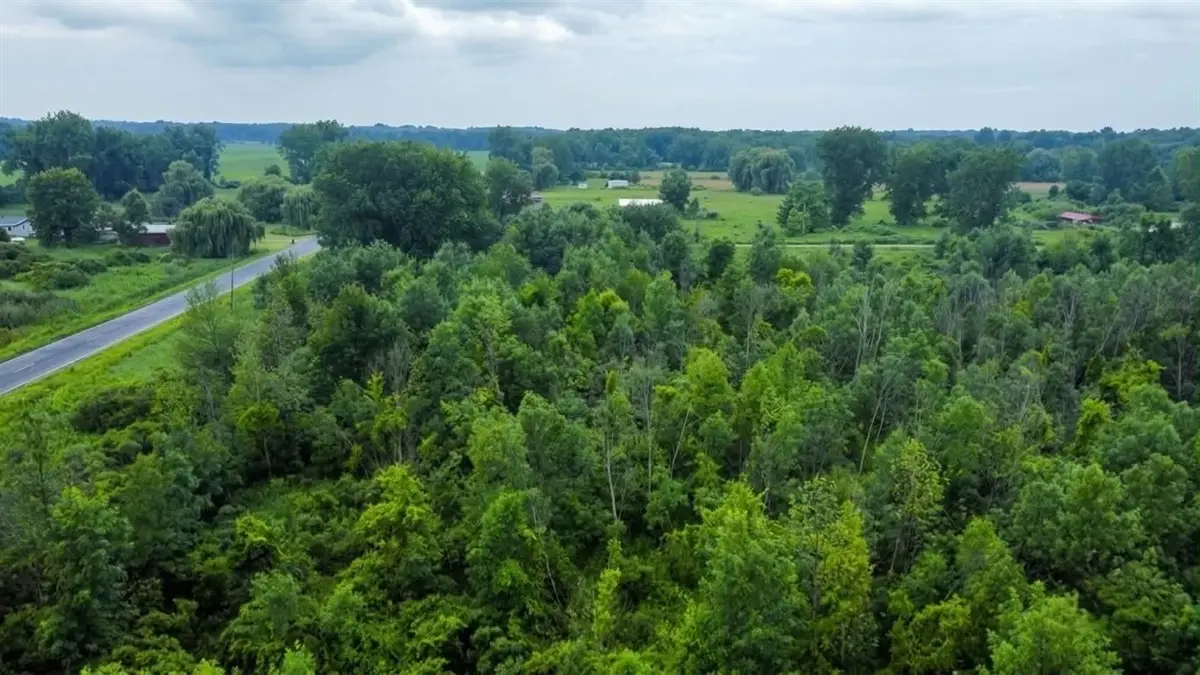 60196 County Road 376, Bangor, MI 49013 - #1