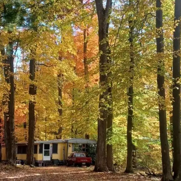 2776 19 Mile, Cedar Springs, MI 49319