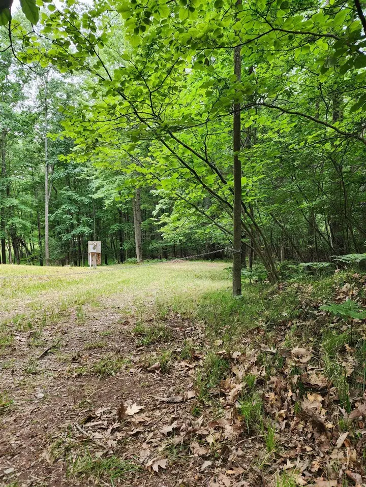 1631 Laurel, Farwell, MI 48622 - #2