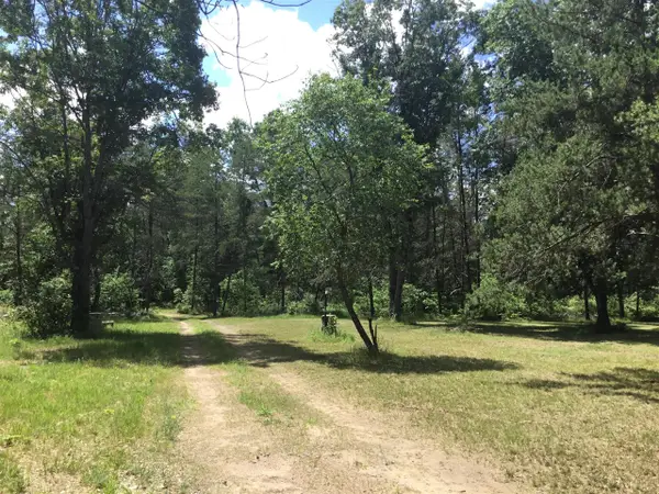 2597 E Gladys, Idlewild, MI 49642