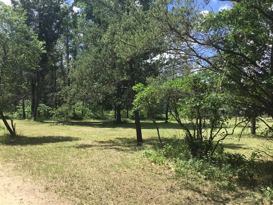 2597 E Gladys, Idlewild, MI 49642 - #2