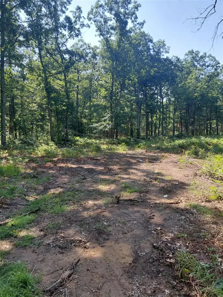 2807 S Evergreen, White Cloud, MI 49349 - #2