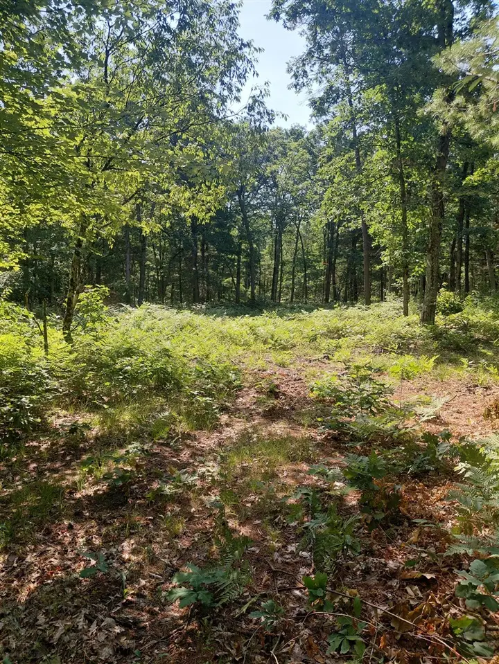 2807 S Evergreen, White Cloud, MI 49349 - #3