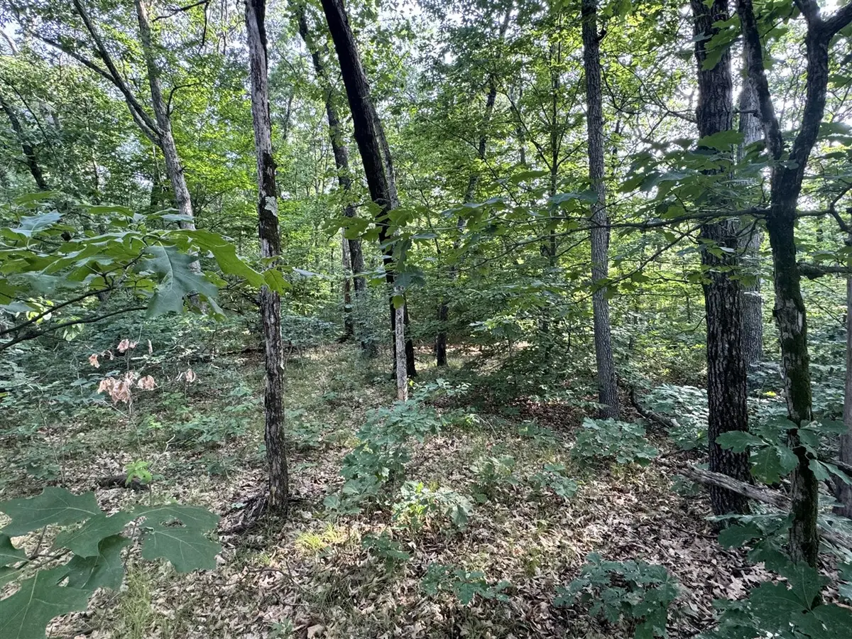 V/l E Washington, White Cloud, MI 49349 - #1
