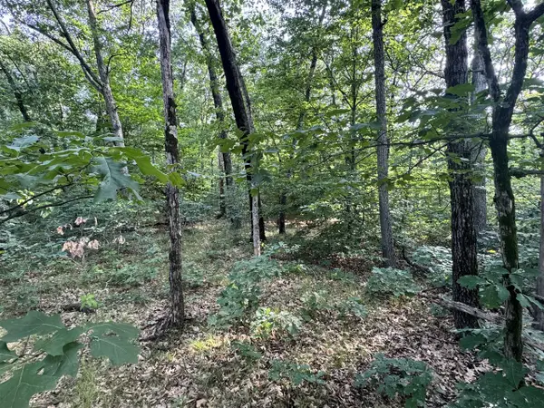 V/l E Washington, White Cloud, MI 49349