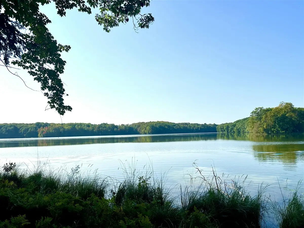 Pristine Woods, Bellaire, MI 49615 - #1