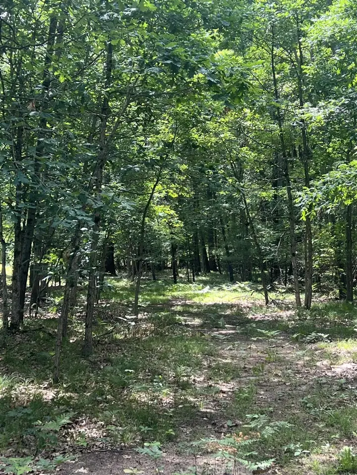 8268 B S Ferris, Newaygo, MI 49337 - #1