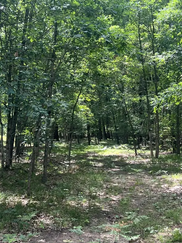 8268 B S Ferris, Newaygo, MI 49337