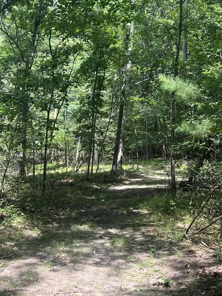 8268 B S Ferris, Newaygo, MI 49337 - #3